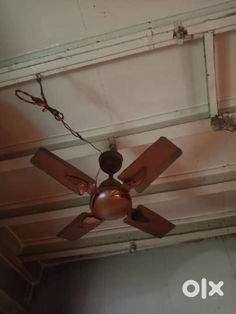 LONGWAY  Fan