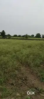10.5 ACRE PANDHAN ROAD TOUCH LAND FOR SALE AT  KOTAMBA SELOO