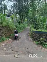 plot for sale kolani parakadav karikunnam thodupuzha