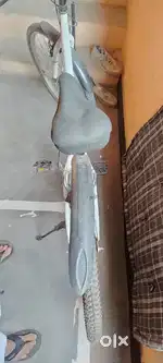6 month old only