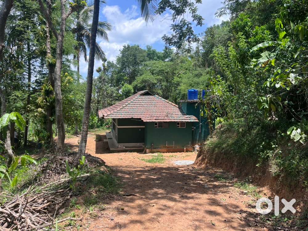 Wayanad near kuruva deep near 1.25 acre with Homestay selling