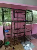 Metal Cage for birds