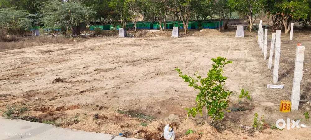 TUDA approved Plot for Sale in Mallamgunta MGBS