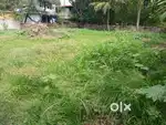Kollam mundakal near ഡിസിസി office just 800meter 7cent residents plot