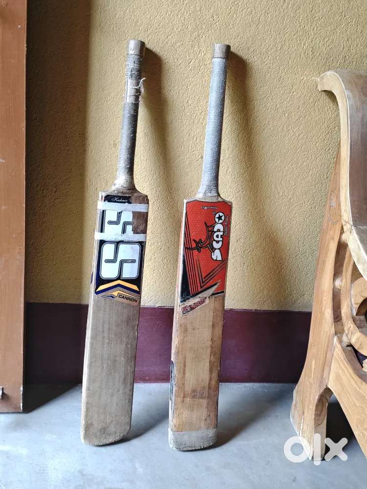 English Willow season bat