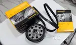 BMW 3 Series, 5 Series, 7 Series Continental make Crankpully with Belt