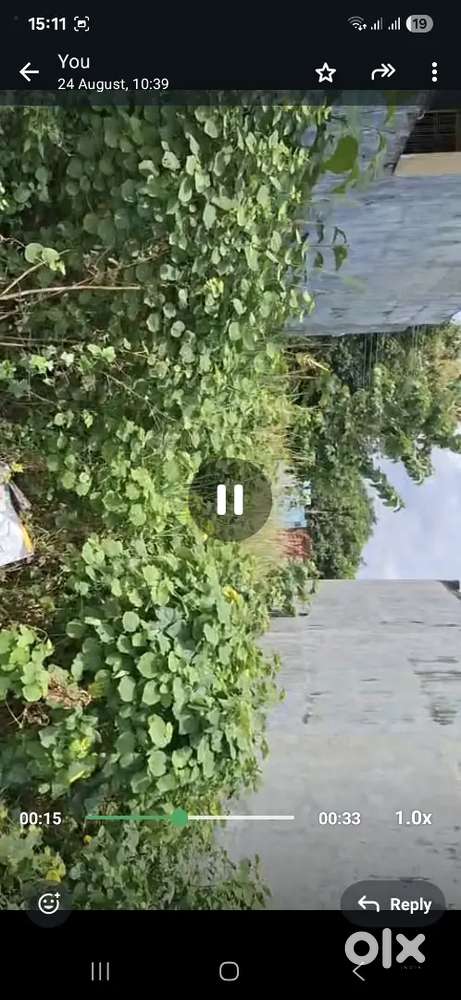 Sushant city near (papu jaiswal katra) one entry and one exit.