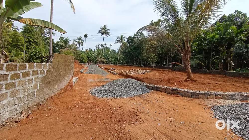 5,6,8,10 cent angamaly Pulyanam road NH 3 km bus stop 200 meate 5 mea