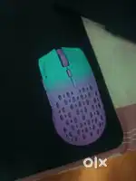 Mouse for sell