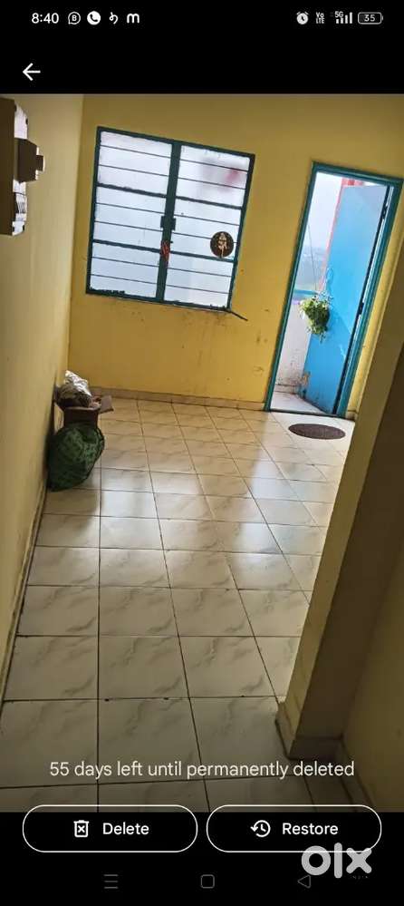 Need female roommates