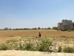 Best property and good location