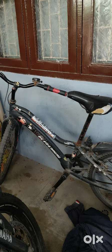 Kross Spyder