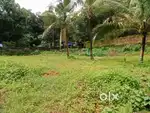 ചിരം ചിറ 10 cent house plot.2.50 .lakh.