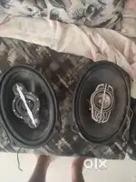 Pioneer speaker