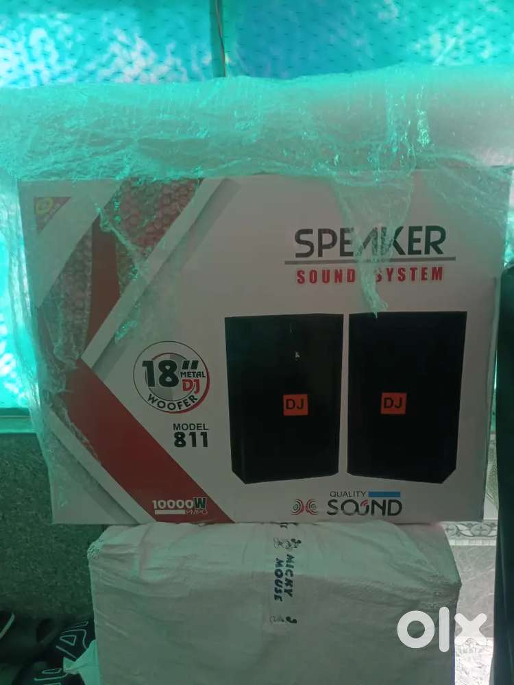 8 inches small DJ speaker  only 3 manth old