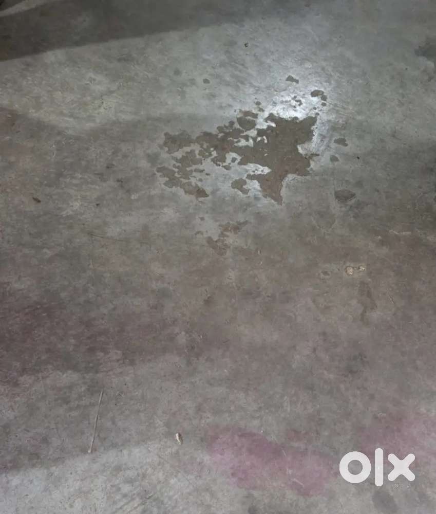 6000 area hall for rent