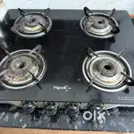 Pigeon gas stove