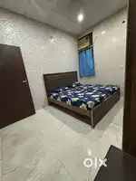 dream homes pg