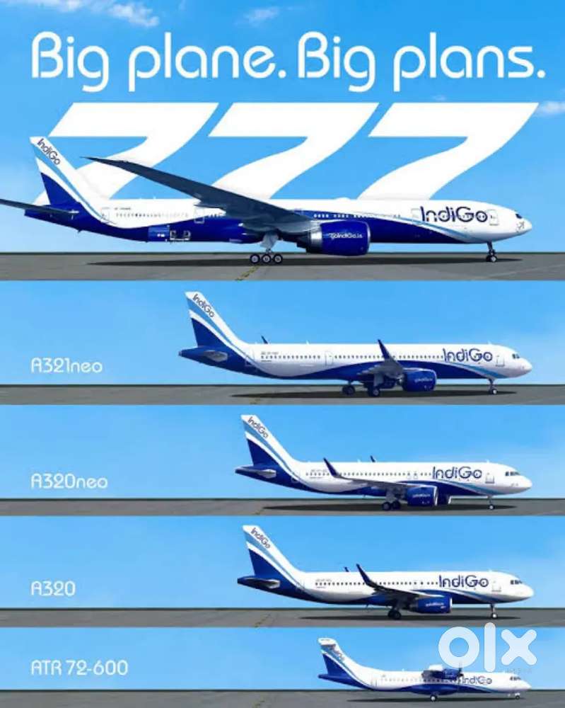 Ground Staff jobs in indigo Airlines urgent hiring Apply Fast