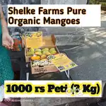 Shelke Farms Organic Mangoes