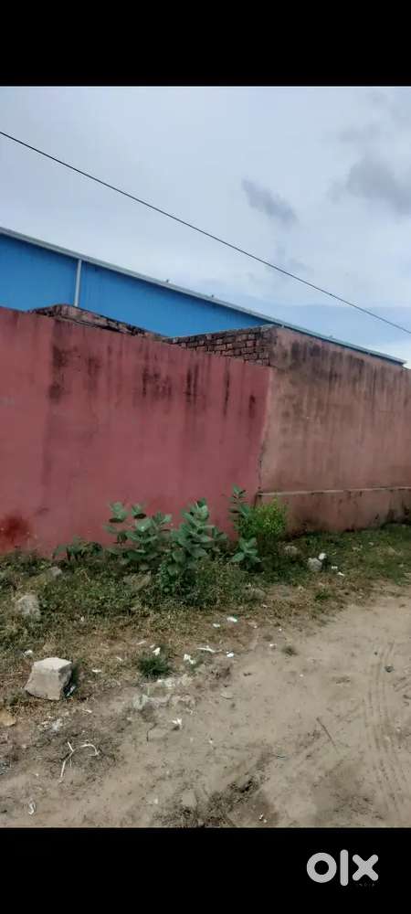 250 gaj सोसाइटी पट्टा 200 फ़ीट बाई पास मुरलीपुरा jaipur