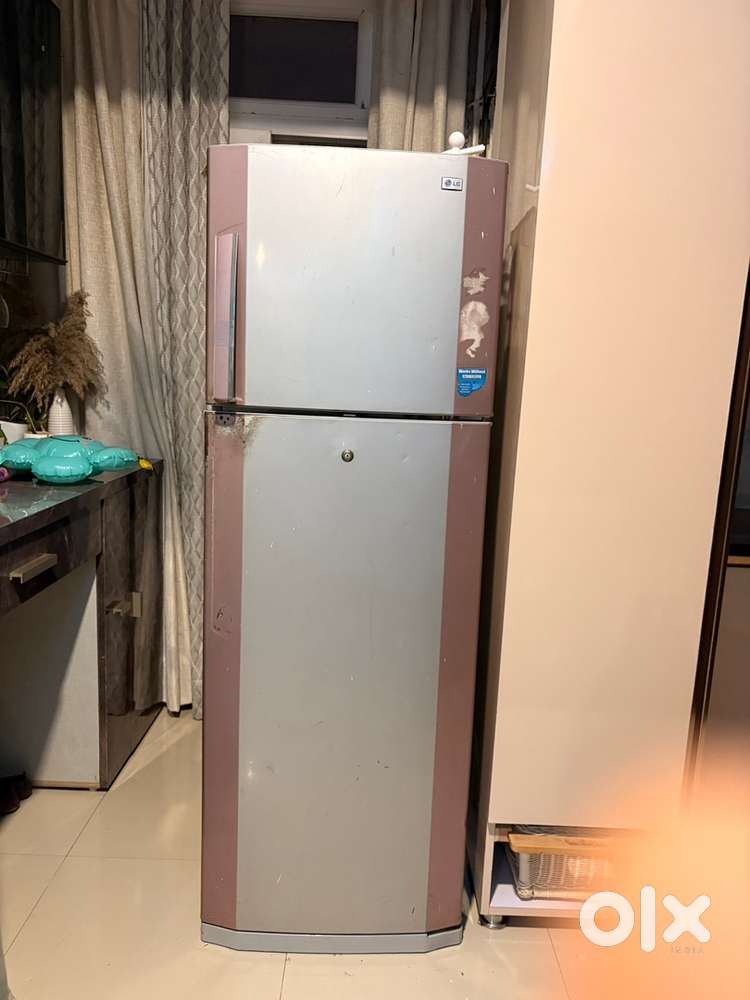 Lg double door fridge