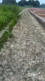 10 dhur jamin