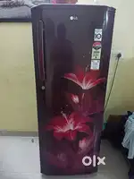 LG Single Door Fridge 270 Ltr