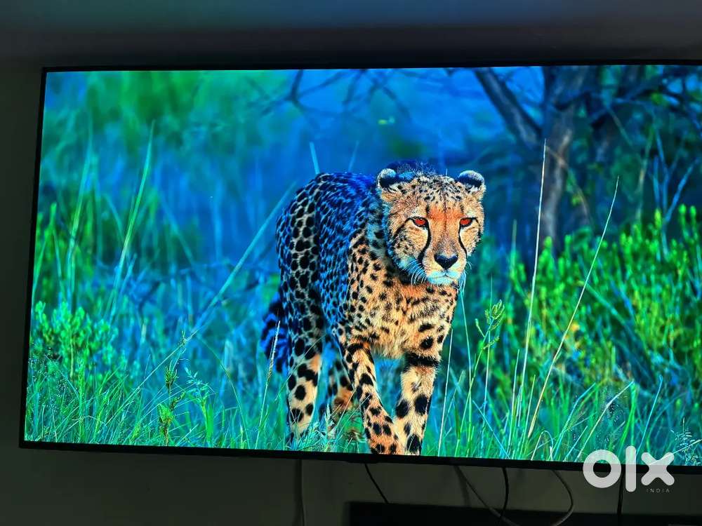 LG Webos 55inch 4k altra hd vaice command remond