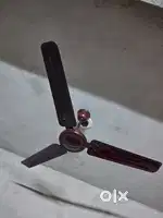 Ceiling Fan