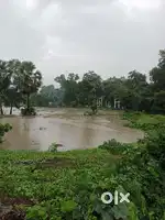 Pond for sale