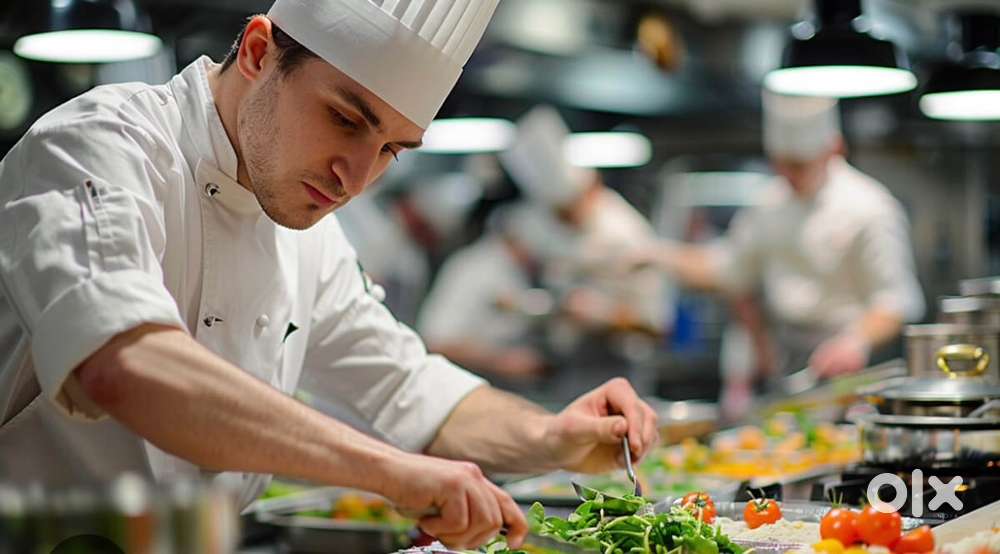 Need cook for new start up in Gulbarga