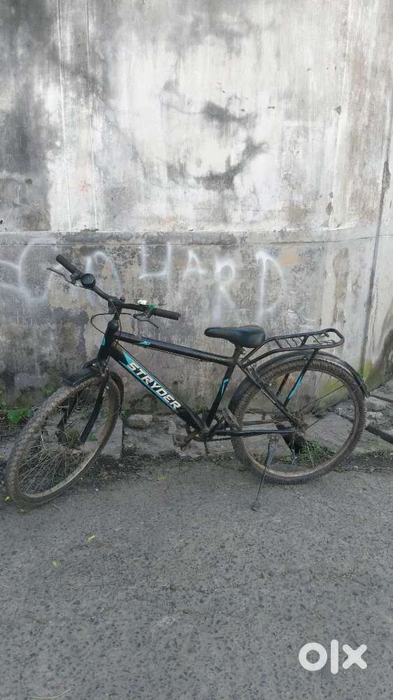 Stryder Cycle