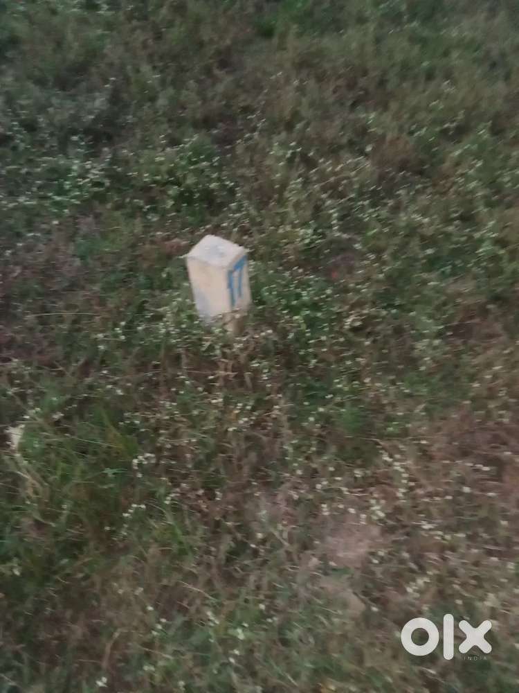 Near mathsya giri temple. .