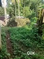 For sale  lands