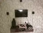 Tv with sound system