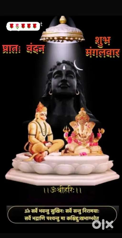 Want room partner for help