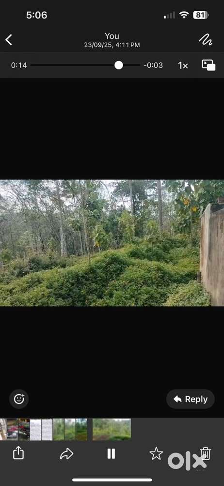 100 scent rubber plot for sale