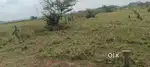 Urgent sale land 20k per sqyrd