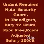All Security Jobs Chandigarh 59