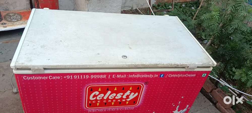 Blue Star fridge 300 litre