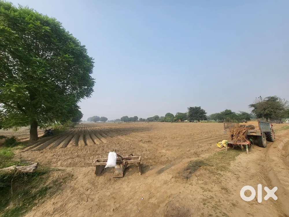 Agriculture Land Greater Agra