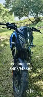 Pulsar NS125 BSvi 2024