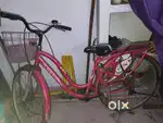 Lady Bird bicycle