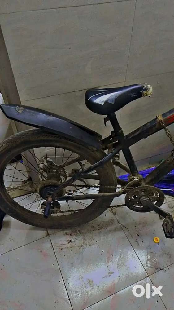 Fat tyre cycle with dual gearing system with disc brake