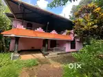 House for rent near Nedumgolam GOVT Taluk Hospital