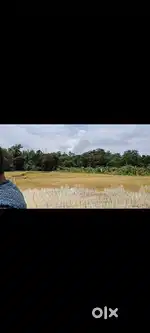 Agricultural land