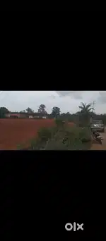 Agriculture land for sale
