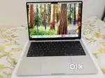 2024 Apple MacBook Pro 14 M4 Max chip 36GB RAM 1TB SSD Silver