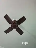Bajaj maxima 6EE Ceiling fan small